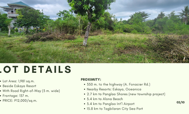 Lot for Sale in Tawala Panglao Bohol 1981sqm