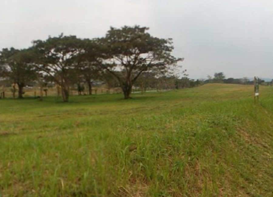 Ecology Avenue, Elaro Nuvali, Canlubang, Calamba, Laguna
