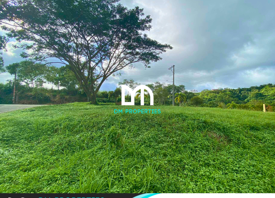 Paseo de Enrile, Splendido Taal Residential Golf & Country Club, Laurel, Batangas image 3