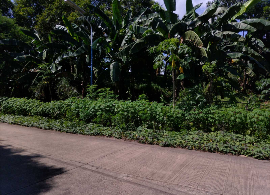 Sagbat-Pililla Diversion Road, Sagbat, Can-Cal-Lan, Poblacion, Maybancal, Morong, Rizal image 3