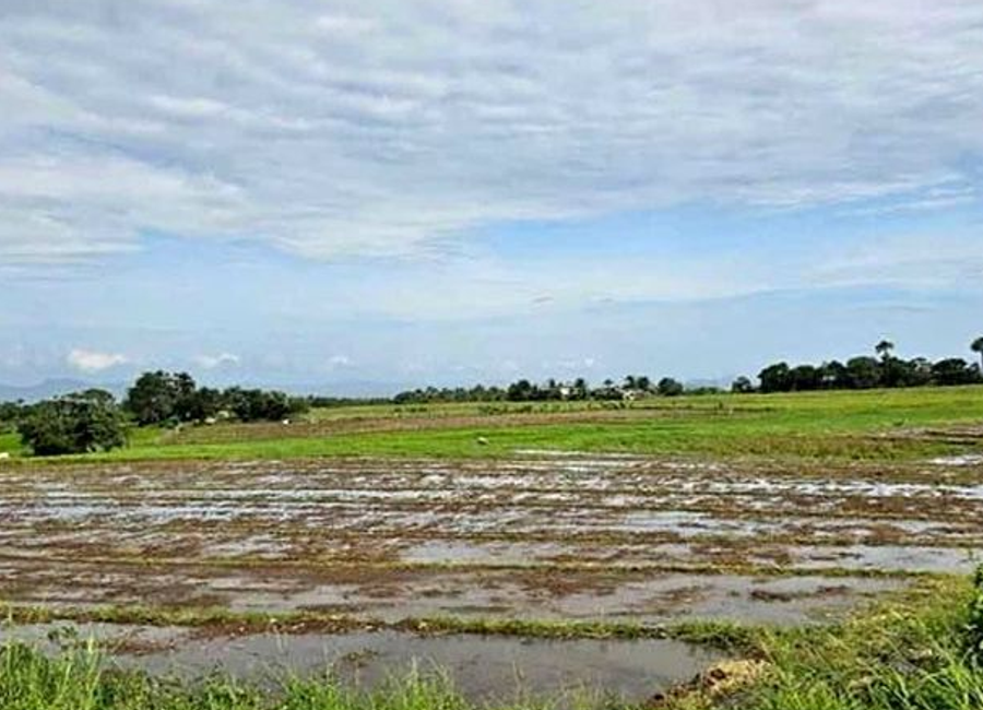 Maharlika Highway, Talipan, Alupaye, Pagbilao, Quezon