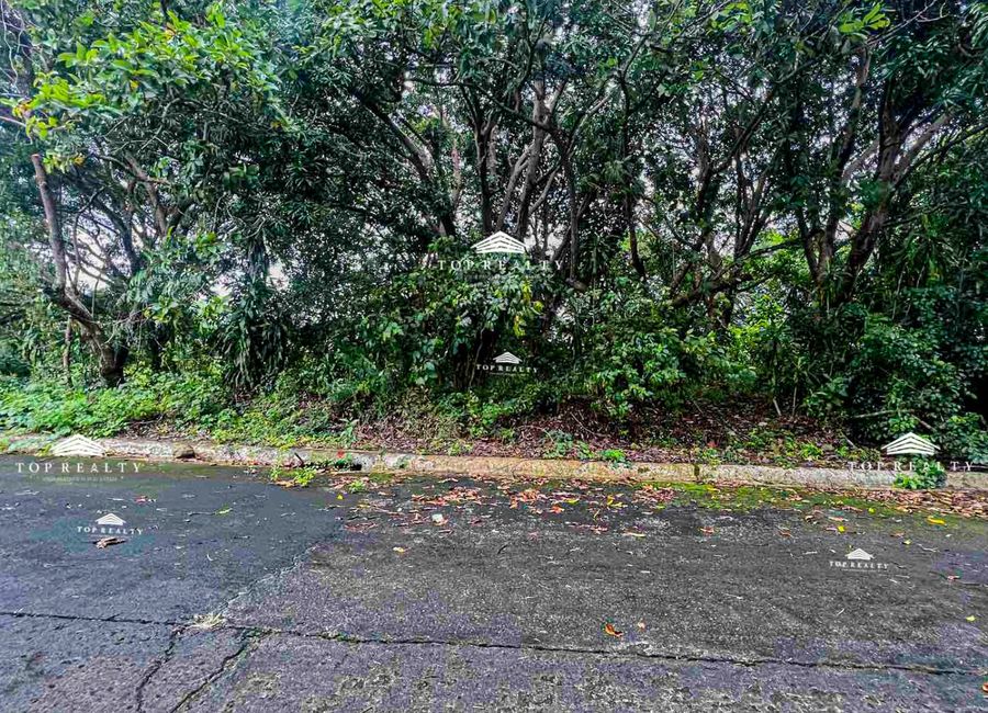 Forest Hills Avenue, Lower Tulakin, Bagong Nayon, Antipolo, Rizal image 3