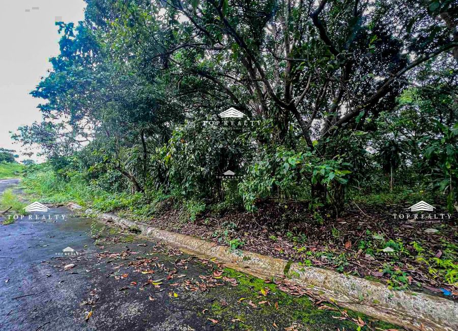 Forest Hills Avenue, Lower Tulakin, Bagong Nayon, Antipolo, Rizal