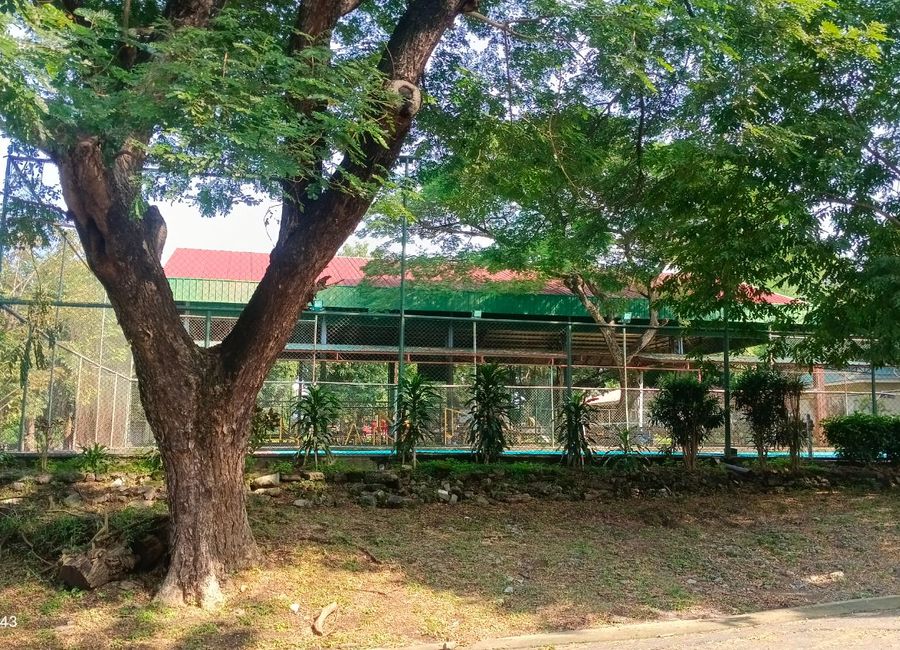 place photo 20