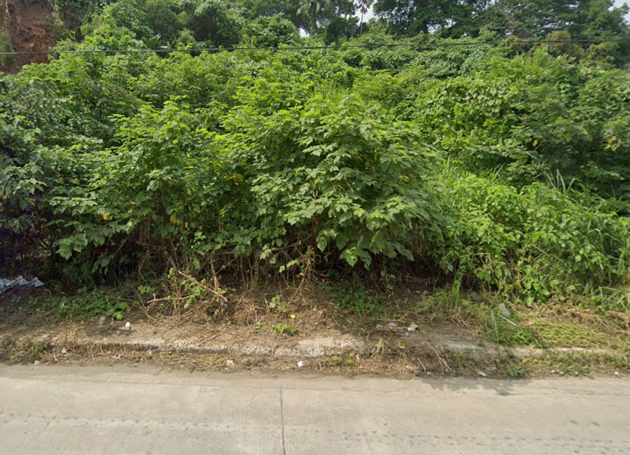 Milagrosa-Bucal Bypass Road, Maunong, Calamba, Laguna