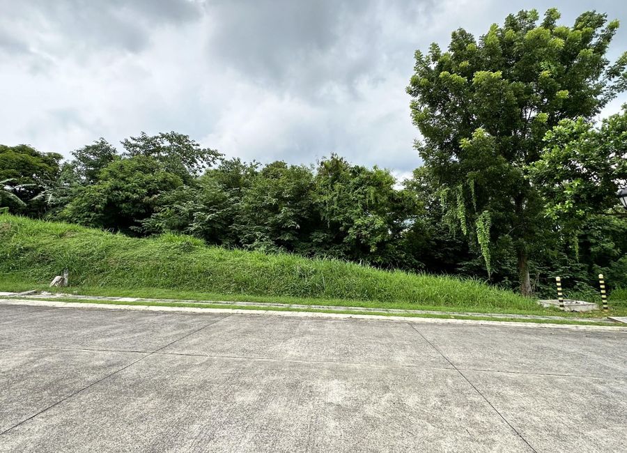 J. P. Rizal Street, Barangay 6, Poblacion, Calamba, Calamba, Laguna