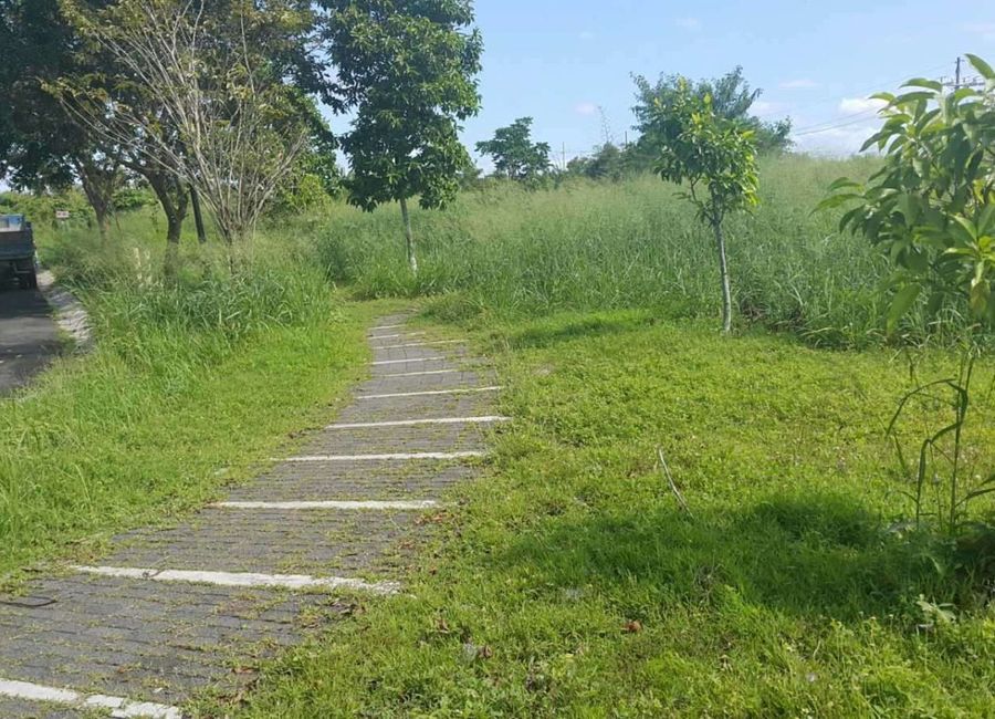 Ecology Avenue, Elaro Nuvali, Canlubang, Calamba, Laguna image 2