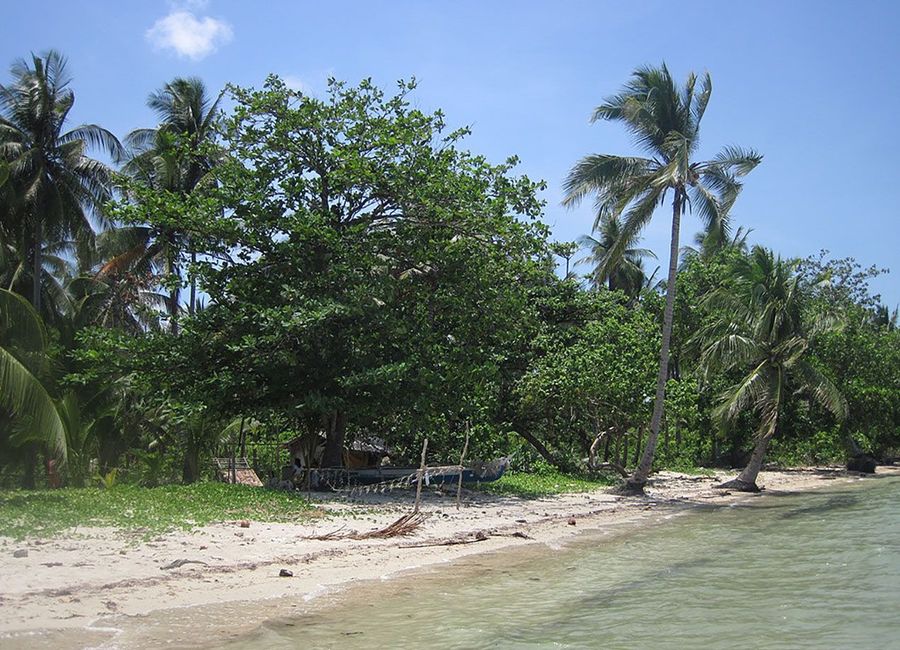 place photo 7