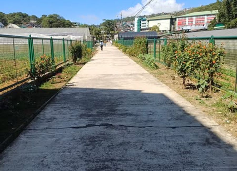 place photo 11