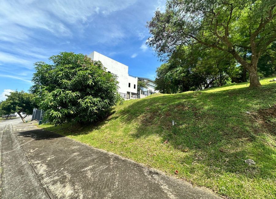 J. P. Rizal Street, Barangay 6, Poblacion, Calamba, Calamba, Laguna