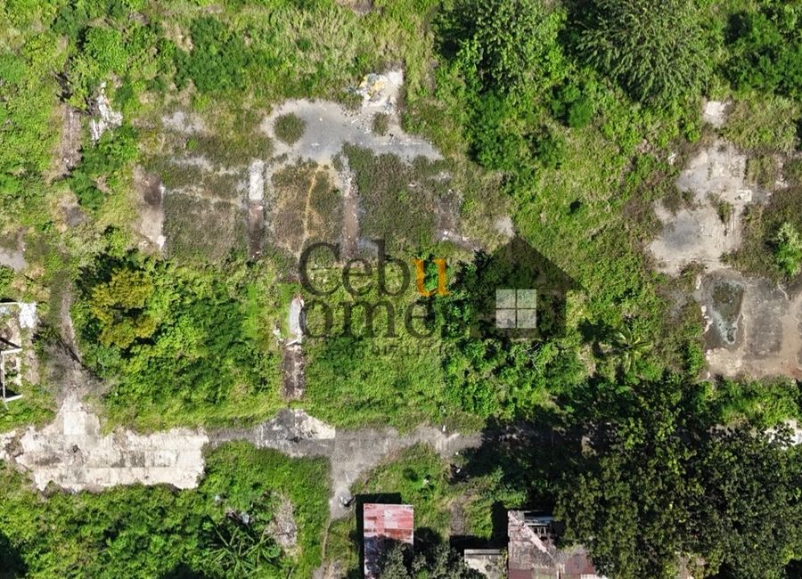Prime 19,613-SQM Commercial Lot in Mandaue City for Sale | Lamudi.com.ph
