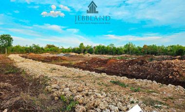 Subdivided Lot for Sale in San Isidro, Dauis, Bohol