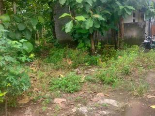 Tanah gawanan colomadu termurah 100m 2jt/m
