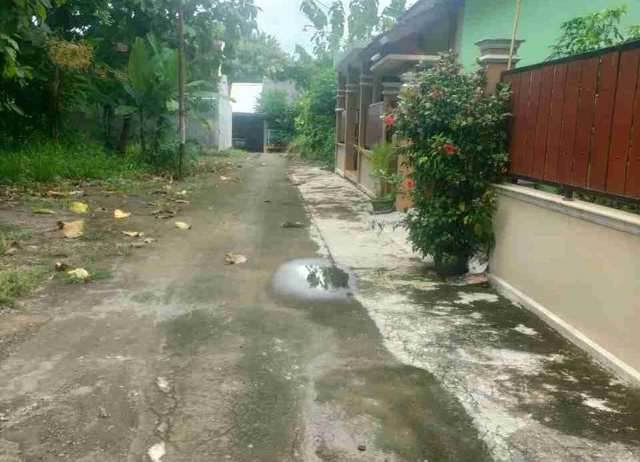 place photo 3