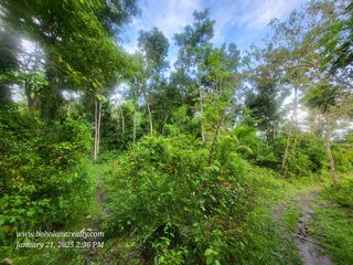 2, 765 sqm Land For Sale at San Roque Baclayon Bohol | BOHOLANA REALTY