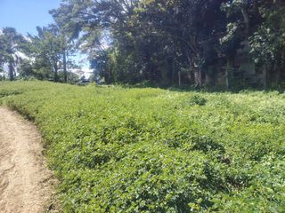 Residential Lot Only For Sale In Greenfield Heights Dasmarinas Cavite