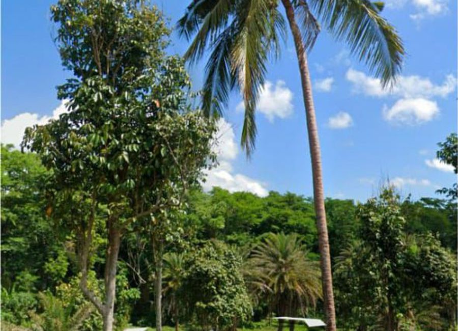 Daniel Fandiño Street, 3, Alaminos, Laguna