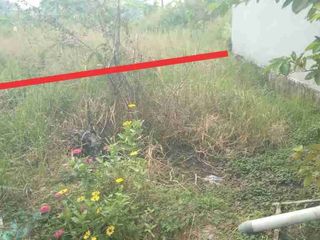 Dijual Tanah siap bangun di jogosatru Sukodono 

Lt 72 M2 ( 6x12 ) 
Sertifikat IJB notaris
Hadap barat 
Row jalan 2.5 m 

Cash 125 juta 
Credit 130 juta dp 90 juta angsuran 1.5 juta sampai lunas 

Hub cy 08123217----
