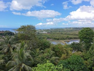 5,613 SQM LAND FOR SALE : Overlooking the Pond/River/Ocean and Bridge of Loay with Sea View | BOHOLANA REALTY