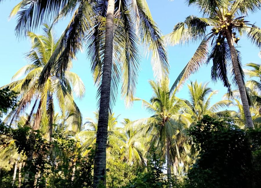 Concepcion No. 1, Sariaya, 2nd District, Quezon