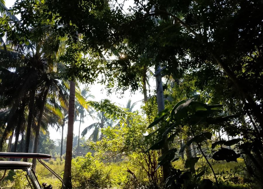 Concepcion No. 1, Sariaya, 2nd District, Quezon image 3