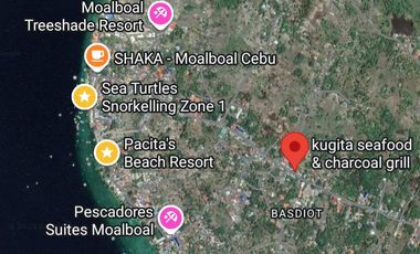 2171 sqm lot for sale in Moalboal Cebu 1 km from beach