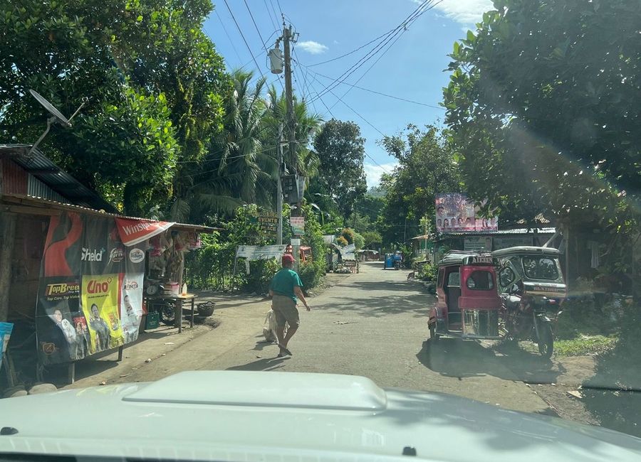 Pabilonia Street, Lambac, Pagsanjan, Laguna image 2