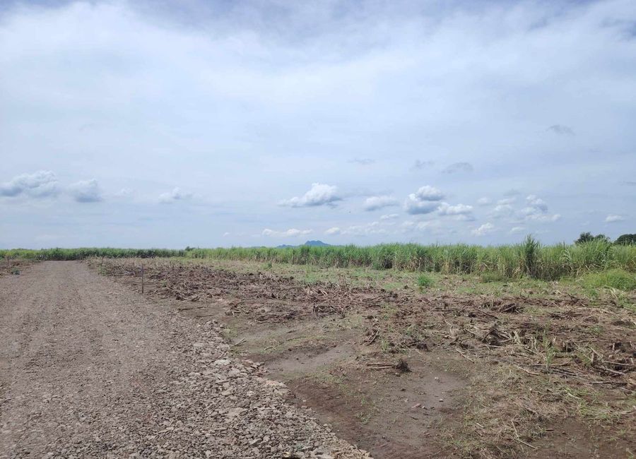 Palico-Tuy Road, Rizal, Tuy, Batangas image 2