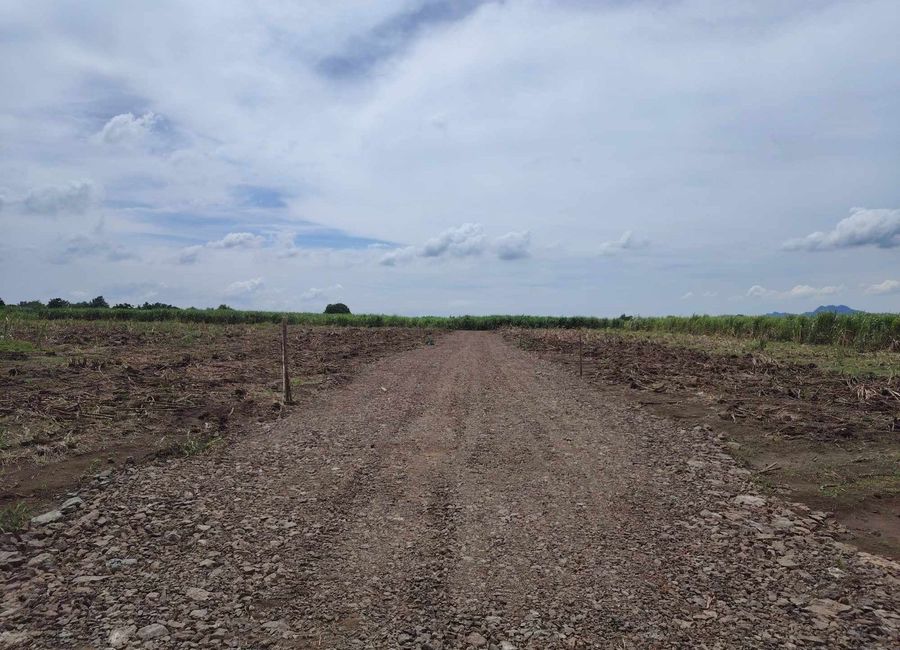 Palico-Tuy Road, Rizal, Tuy, Batangas image 3