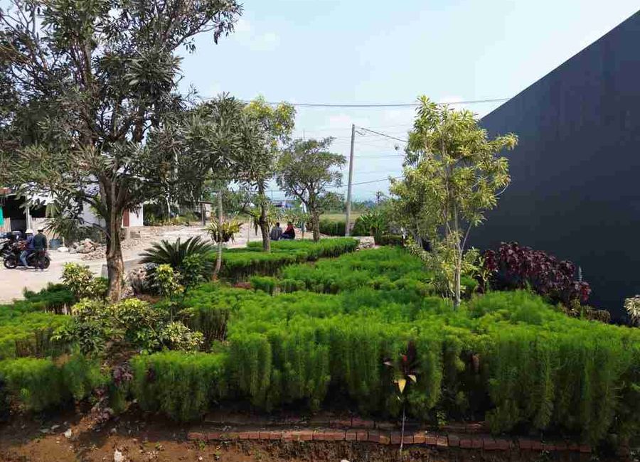 place photo 10