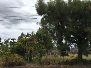 Vacant Lot for Sale in Royale Tagatay Estates, Alfonso, Cavite