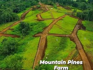Mt. Pines – Your Mountain Retreat in Dahilayan
