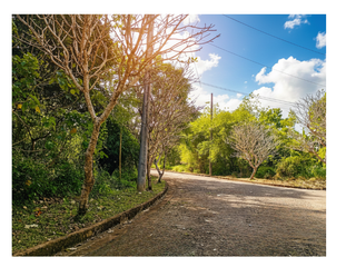 Vacant Lot Overlooking Valley Golf & Country Club