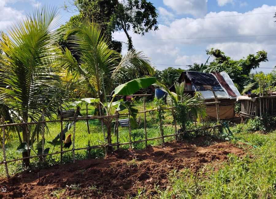 Caliraya-Cavinti Arterial Road, Mahipon (Lumot), Inao-awan, Cavinti, Laguna image 3