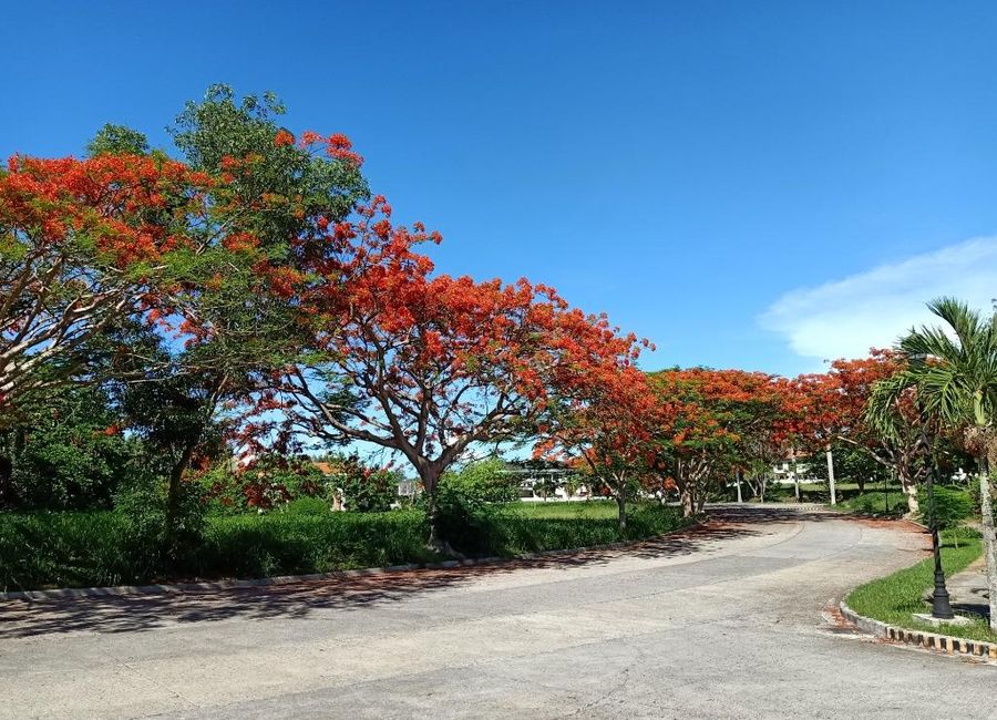 South Peak, Sampaguita, San Pedro, Laguna image 3
