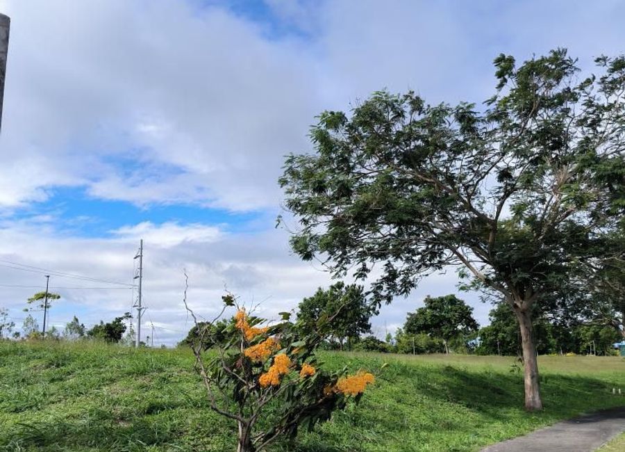 Lumira, Canlubang, Calamba, Laguna image 2