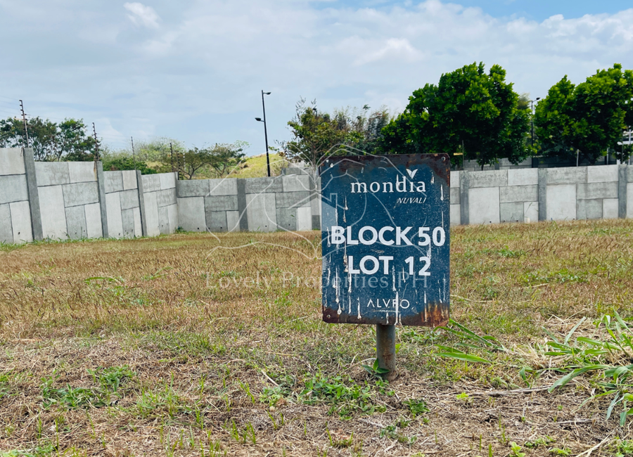 Mondia, Canlubang, Calamba, Laguna image 2