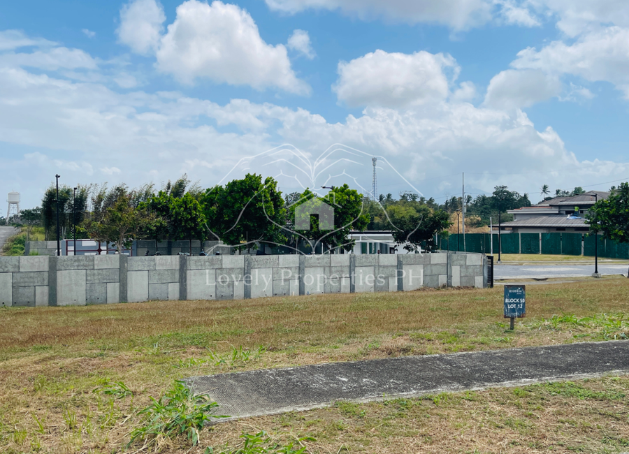 Mondia, Canlubang, Calamba, Laguna image 3