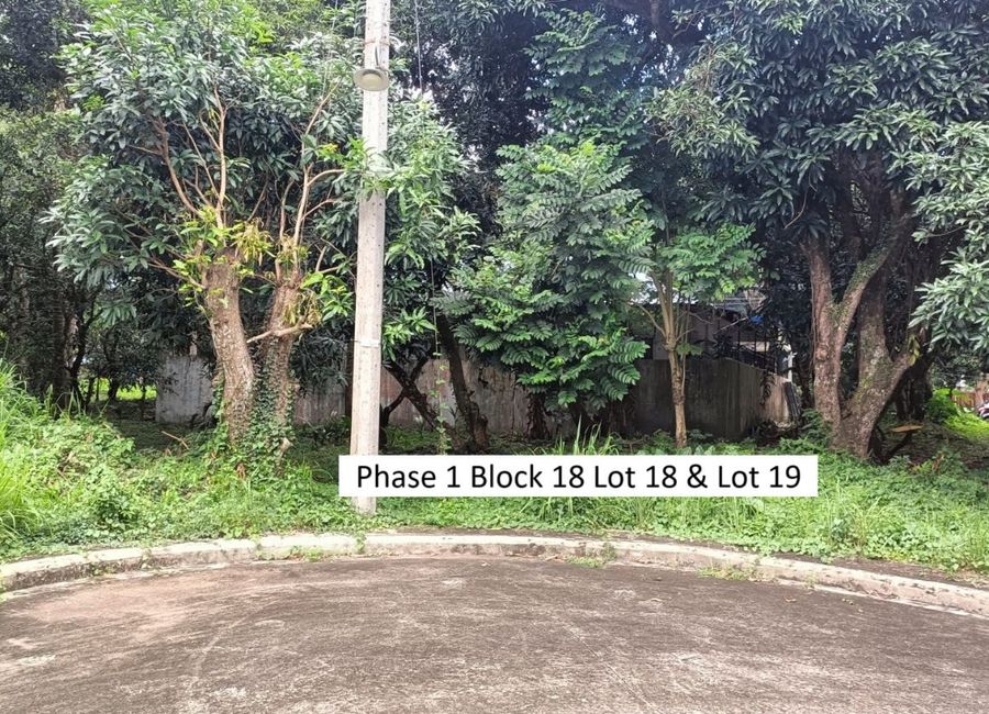 Mt. Malarayat Street, Tierra Vista, Poblacion, Lipa, Batangas