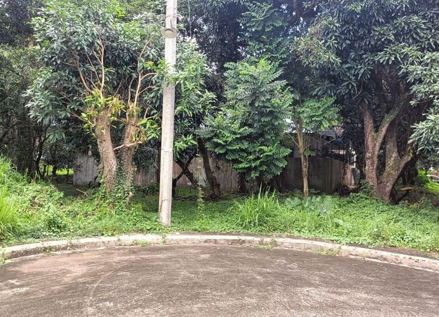 Mt. Malarayat Street, Tierra Vista, Poblacion, Lipa, Batangas image 2