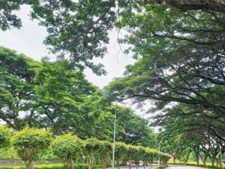 TWO-ADJACENT LOTS FOR SALE IN SAVANNAH TRAILS D, OTON