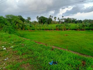 A spacious 1,442 sq. meter lot with a wide frontage along the road, making it a perfect investment! The property’s value is continuously increasing, m