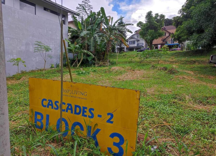 Cottonwood Drive, Cottonwood Heights, Antipolo, Rizal image 2