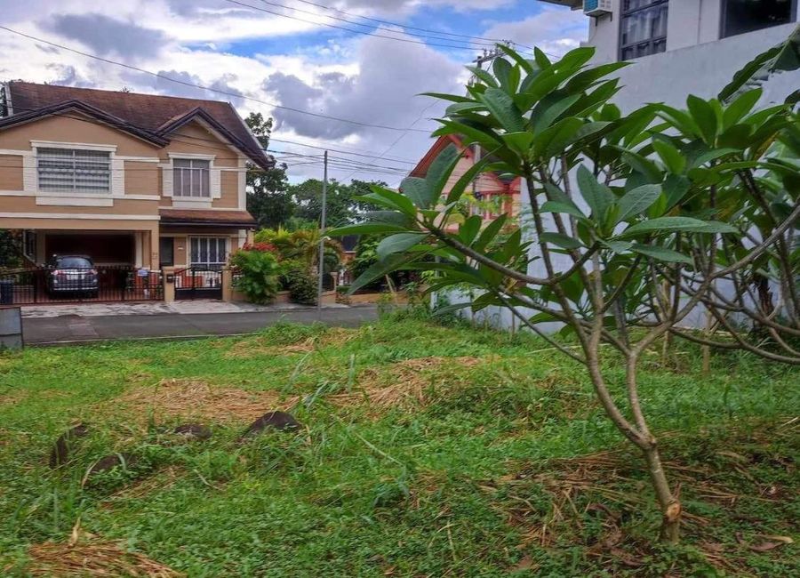 Cottonwood Drive, Cottonwood Heights, Antipolo, Rizal image 3