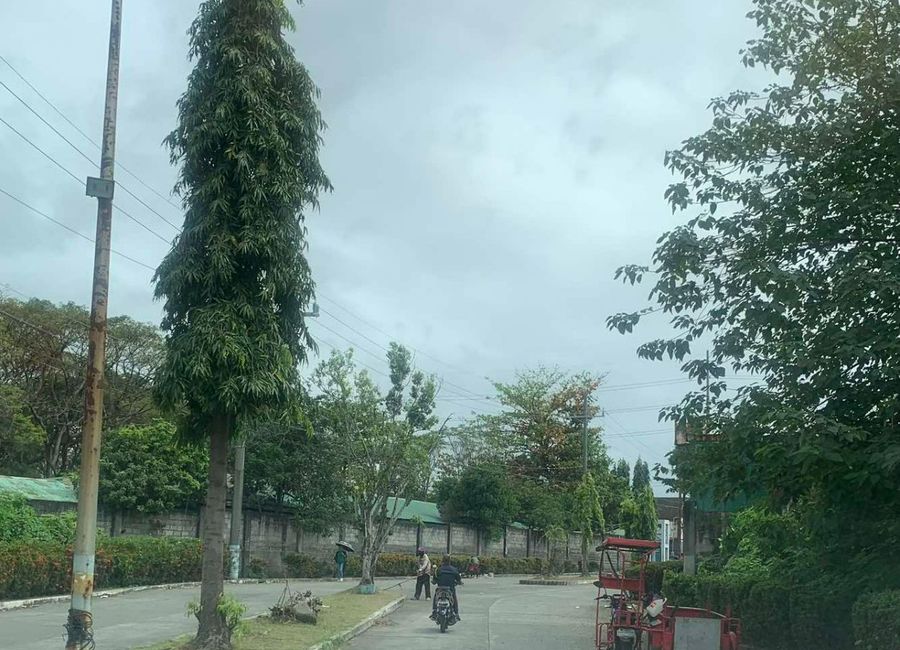South Luzon Expressway, Pulong Santa Cruz, Santa Rosa, Laguna image 2