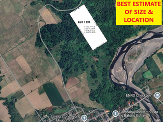 10 Hectares Farm Land, FOR SALE, Batong Buhay, Sablayan, Occidental Mindoro