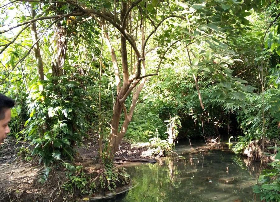 place photo 16