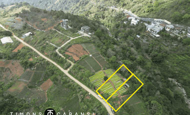 Own a Piece of Baguio's Countryside Charm! Spacious Titled Lots Now Available