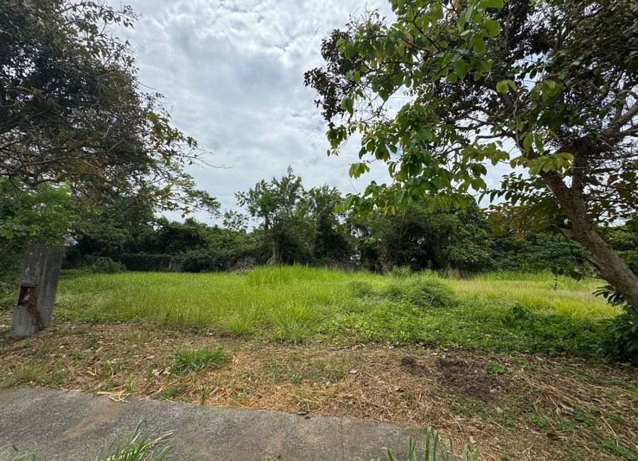 Provincial Road, Don Jose, Santa Rosa, Laguna image 3