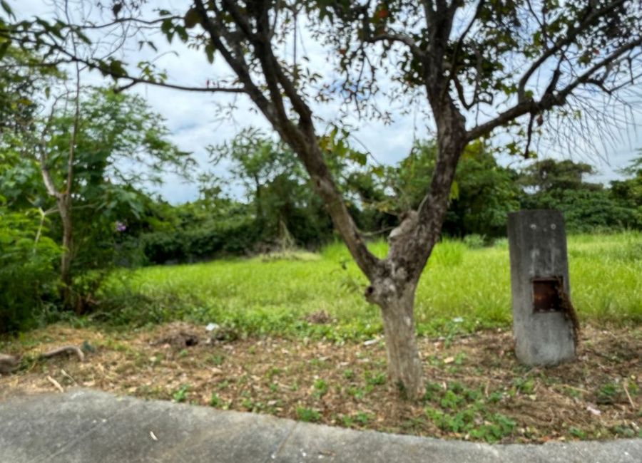Provincial Road, Don Jose, Santa Rosa, Laguna image 2
